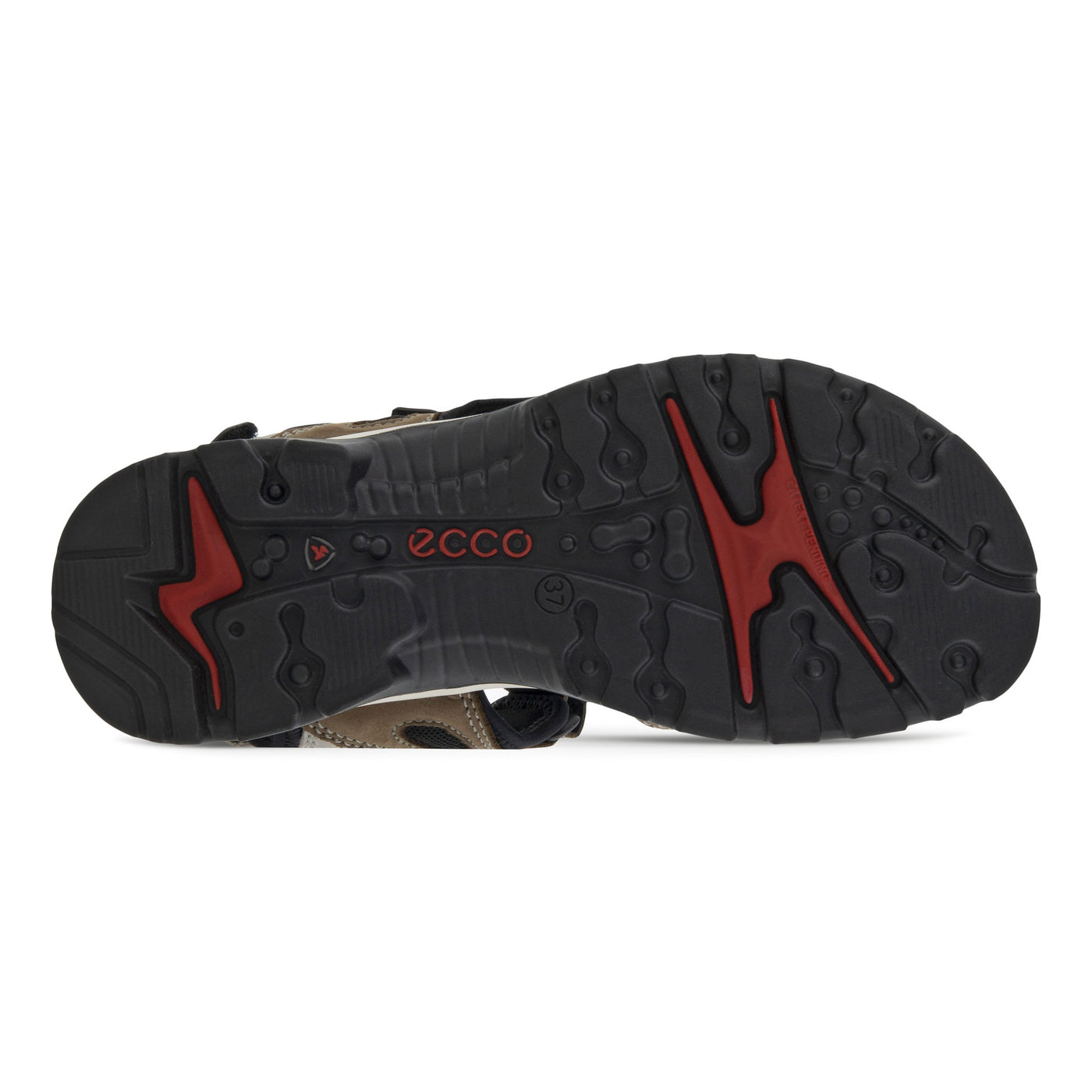 ECCO  Offroad - Birch